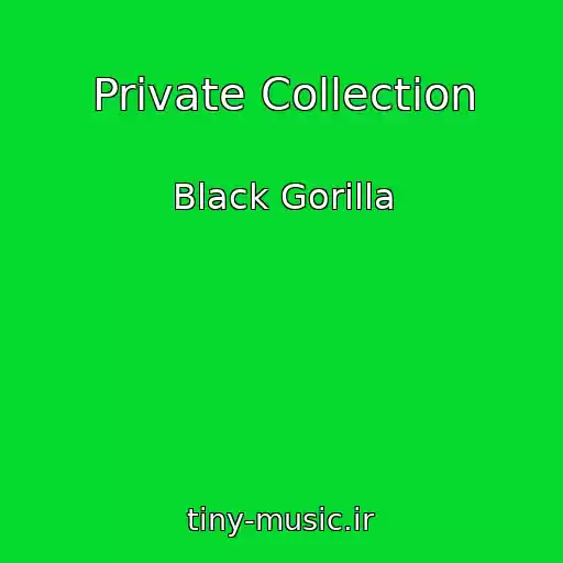 کاور آهنگ Private Collection از Black Gorilla