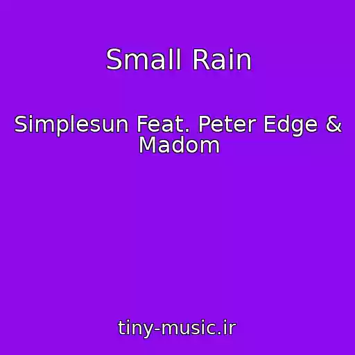 کاور آهنگ Small Rain از Simplesun Feat. Peter Edge & Madom