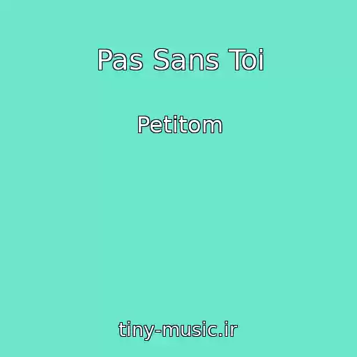 کاور آهنگ Pas Sans Toi از Petitom
