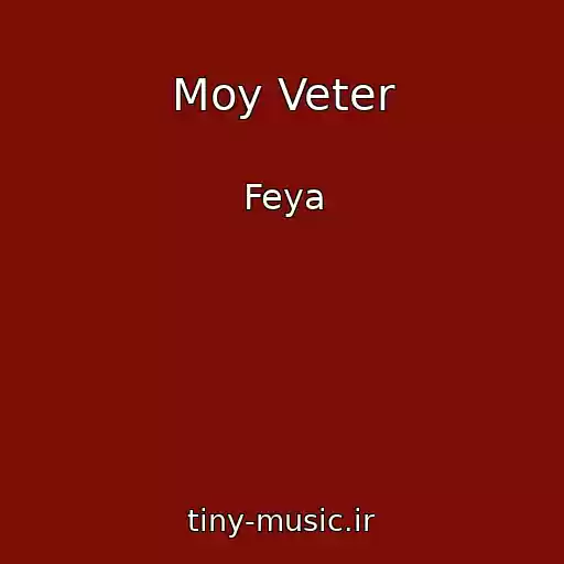 کاور آهنگ Moy Veter از Feya