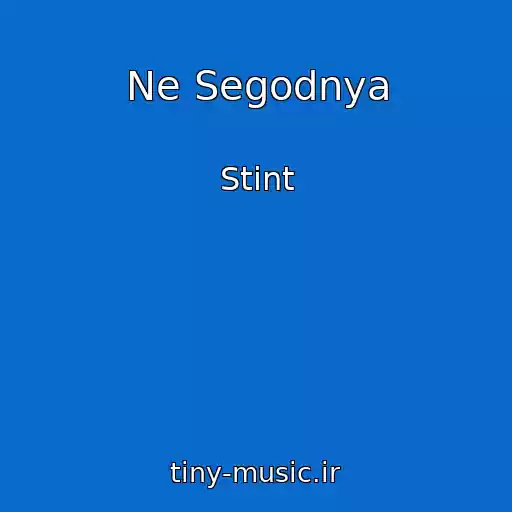 کاور آهنگ Ne Segodnya از Stint