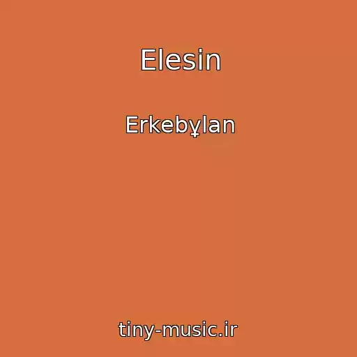 کاور آهنگ Elesin از Erkebұlan