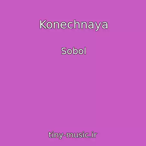 کاور آهنگ Konechnaya از Sobol