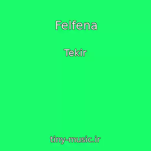 کاور آهنگ Felfena از Tekir