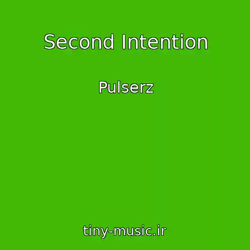 کاور آهنگ Second Intention از Pulserz