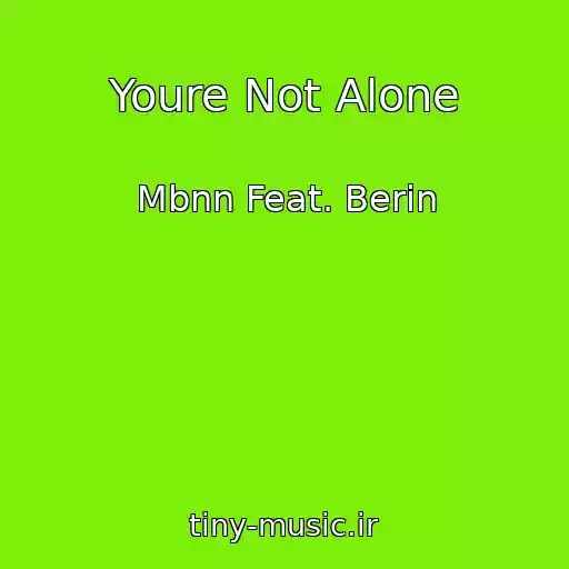 کاور آهنگ Youre Not Alone از Mbnn Feat. Berin