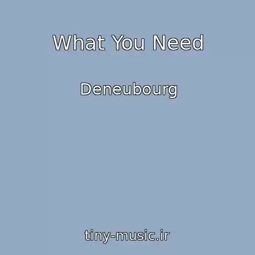 کاور آهنگ What You Need از Deneubourg