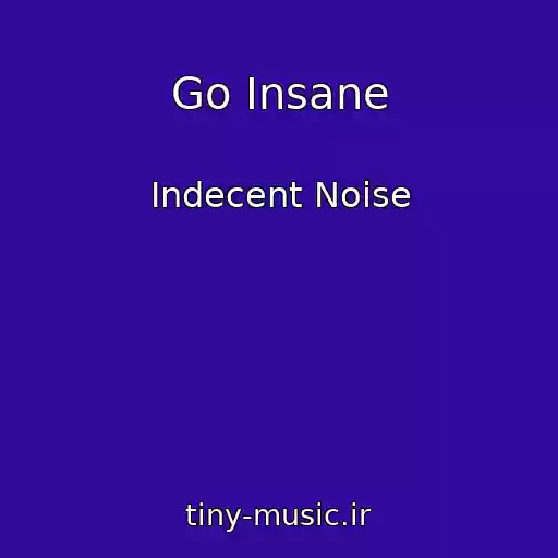 کاور آهنگ Go Insane از Indecent Noise
