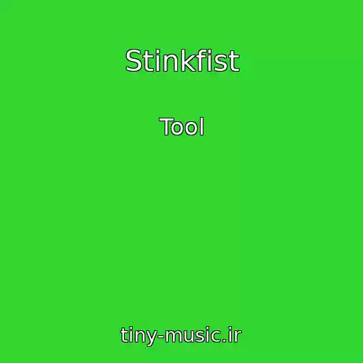 کاور آهنگ Stinkfist از Tool