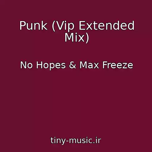 کاور آهنگ Punk (Vip Extended Mix) از No Hopes & Max Freeze