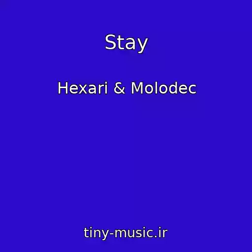 کاور آهنگ Stay از Hexari & Molodec