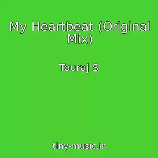 کاور آهنگ My Heartbeat (Original Mix) از Touraj S