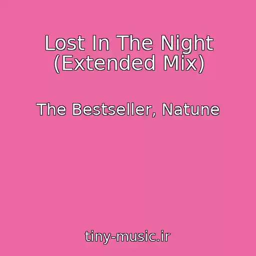 کاور آهنگ Lost In The Night (Extended Mix) از The Bestseller, Natune