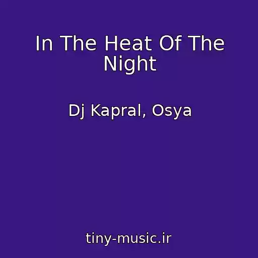 کاور آهنگ In The Heat Of The Night از Dj Kapral, Osya