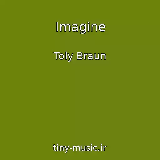 کاور آهنگ Imagine از Toly Braun