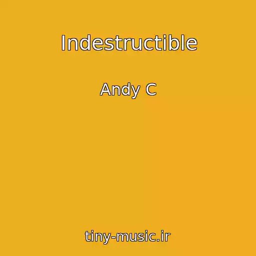 کاور آهنگ Indestructible از Andy C