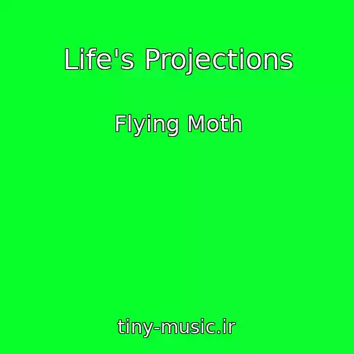 کاور آهنگ Life's Projections از Flying Moth