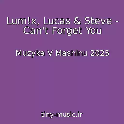 کاور آهنگ Lum!x, Lucas & Steve - Can't Forget You از Muzyka V Mashinu 2025