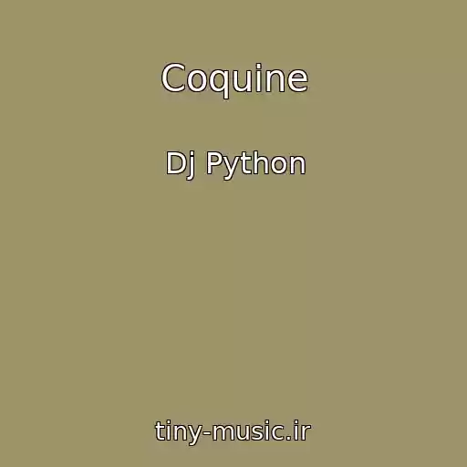 کاور آهنگ Coquine از Dj Python