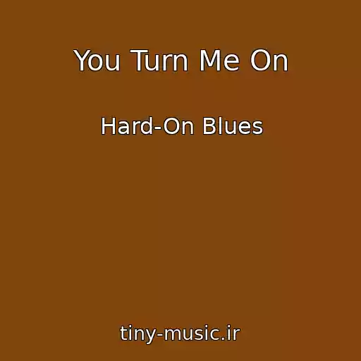 کاور آهنگ You Turn Me On از Hard-On Blues