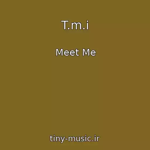 کاور آهنگ T.m.i از Meet Me