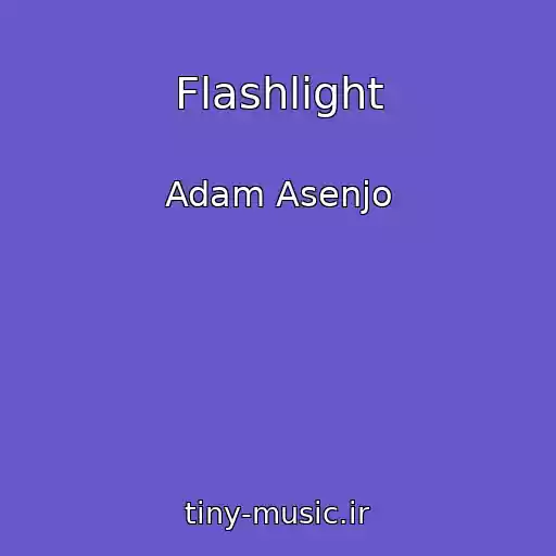 کاور آهنگ Flashlight از Adam Asenjo