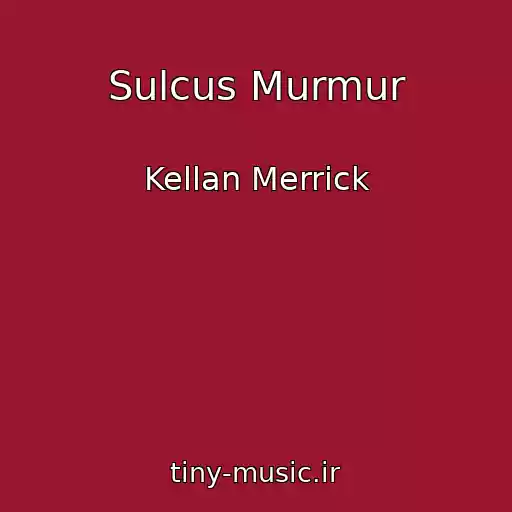 کاور آهنگ Sulcus Murmur از Kellan Merrick