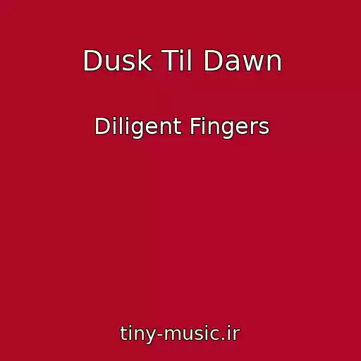 کاور آهنگ Dusk Til Dawn از Diligent Fingers