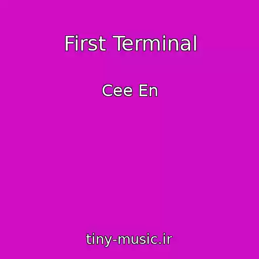 کاور آهنگ First Terminal از Cee En
