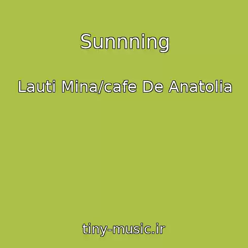 کاور آهنگ Sunnning از Lauti Mina/cafe De Anatolia