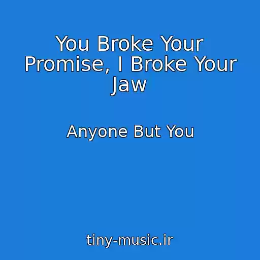 کاور آهنگ You Broke Your Promise, I Broke Your Jaw از Anyone But You