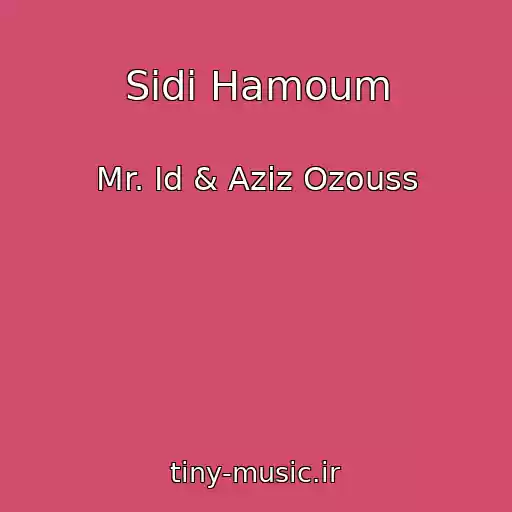 کاور آهنگ Sidi Hamoum از Mr. Id & Aziz Ozouss