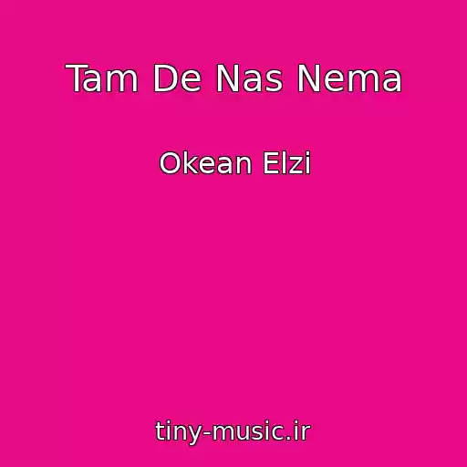 کاور آهنگ Tam De Nas Nema از Okean Elzi