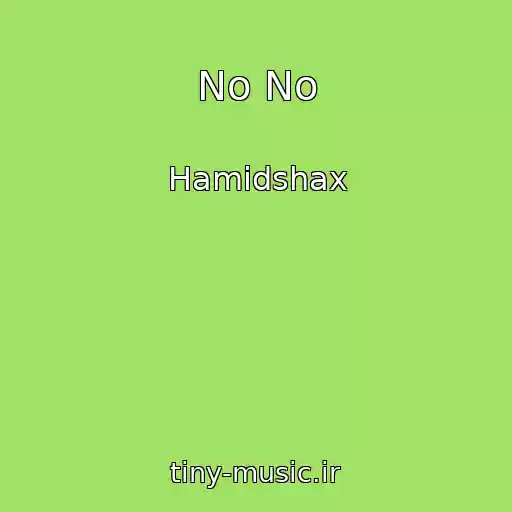 کاور آهنگ No No از Hamidshax