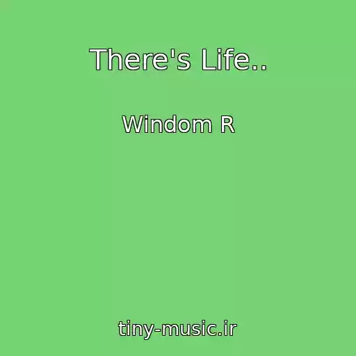 کاور آهنگ There's Life.. از Windom R