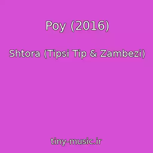 کاور آهنگ Poy (2016) از Shtora (Tipsi Tip & Zambezi)