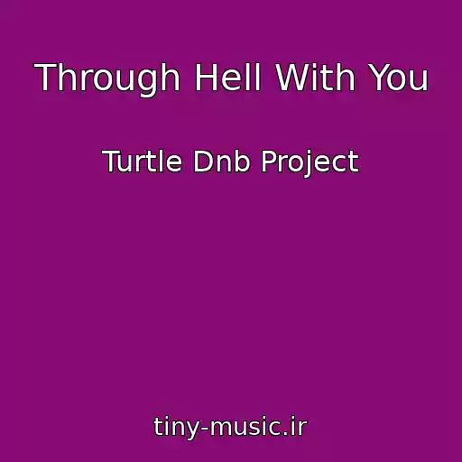کاور آهنگ Through Hell With You از Turtle Dnb Project