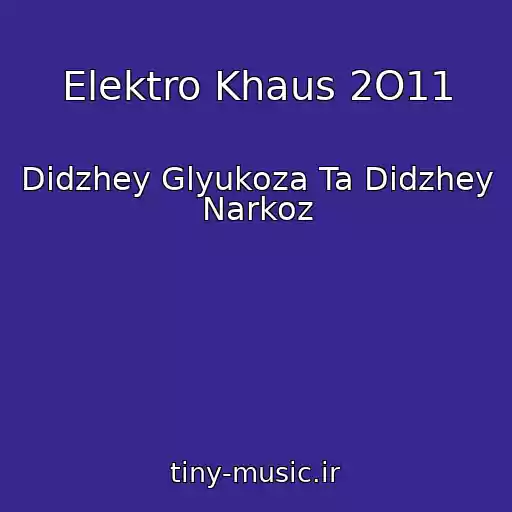 کاور آهنگ Elektro Khaus 2O11 از Didzhey Glyukoza Ta Didzhey Narkoz