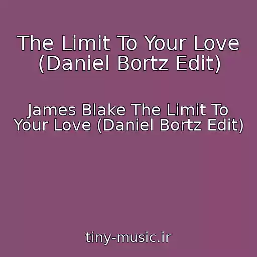 کاور آهنگ The Limit To Your Love (Daniel Bortz Edit) از James Blake The Limit To Your Love (Daniel Bortz Edit)