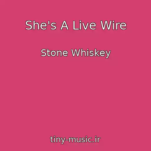 کاور آهنگ She's A Live Wire از Stone Whiskey