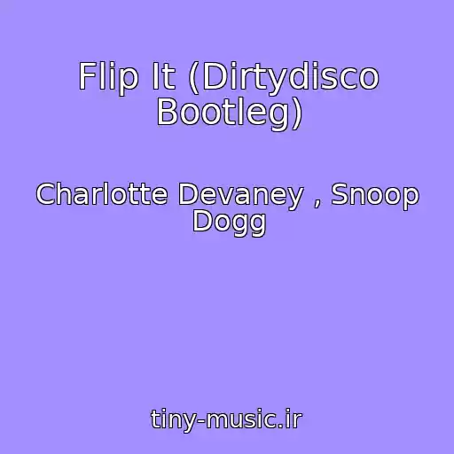 کاور آهنگ Flip It (Dirtydisco Bootleg) از Charlotte Devaney , Snoop Dogg