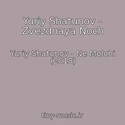 کاور آهنگ Yuriy Shatunov - Zvezdnaya Noch از Yuriy Shatunov - Ne Molchi (2018)