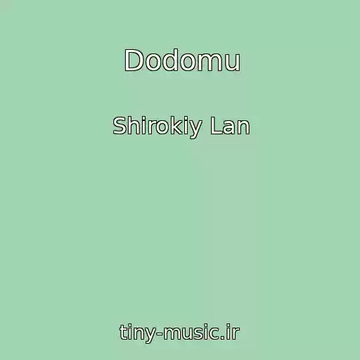 کاور آهنگ Dodomu از Shirokiy Lan
