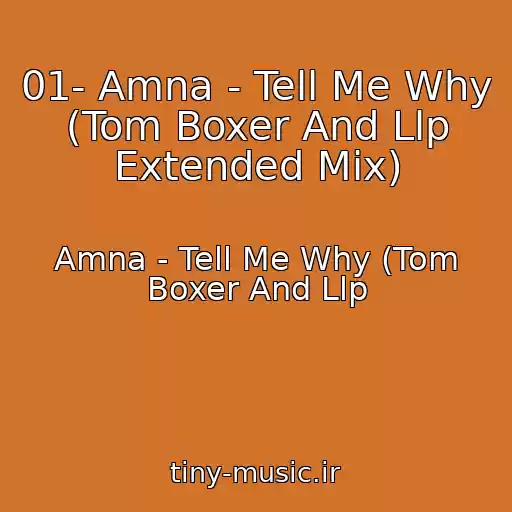 کاور آهنگ 01- Amna - Tell Me Why (Tom Boxer And Llp Extended Mix) از Amna - Tell Me Why (Tom Boxer And Llp