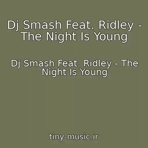 کاور آهنگ Dj Smash Feat. Ridley - The Night Is Young از Dj Smash Feat. Ridley - The Night Is Young