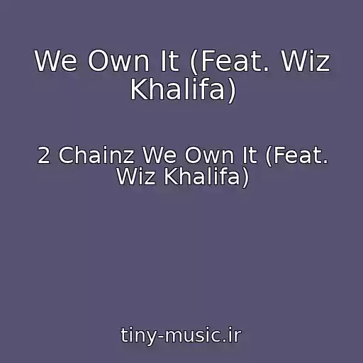کاور آهنگ We Own It (Feat. Wiz Khalifa) از 2 Chainz We Own It (Feat. Wiz Khalifa)