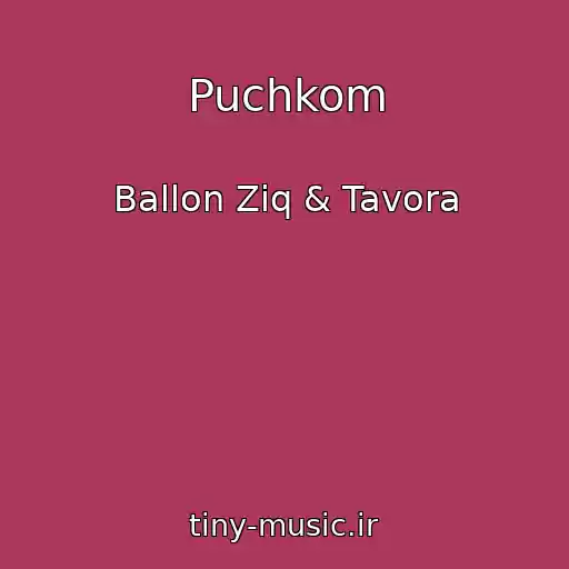 کاور آهنگ Puchkom از Ballon Ziq & Tavora