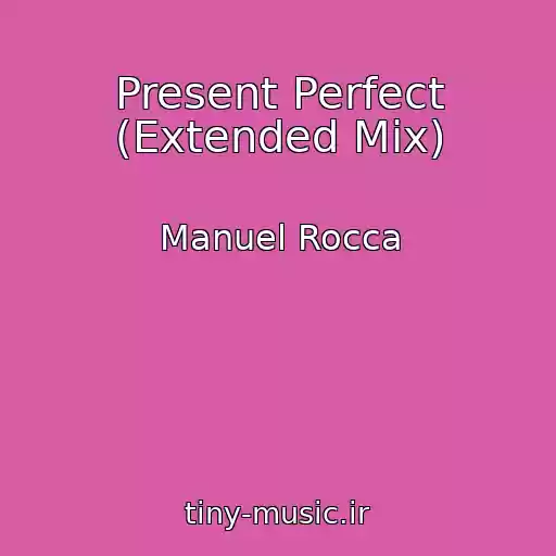 کاور آهنگ Present Perfect (Extended Mix) از Manuel Rocca