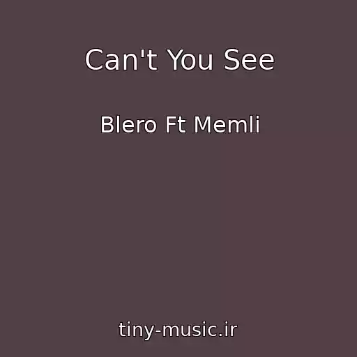 کاور آهنگ Can't You See از Blero Ft Memli
