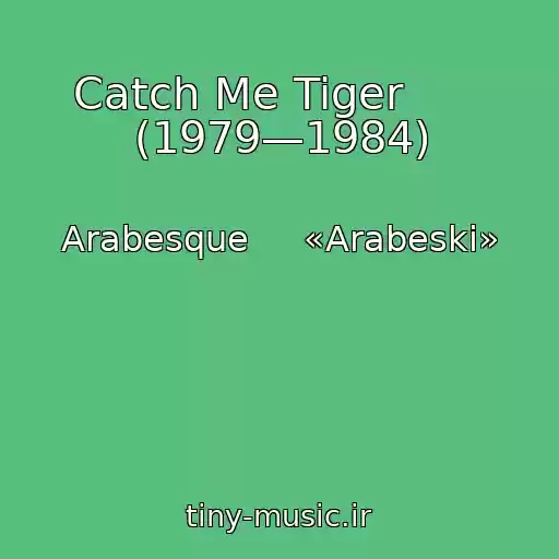 کاور آهنگ Catch Me Tiger       (1979—1984) از Arabesque     «Arabeski»